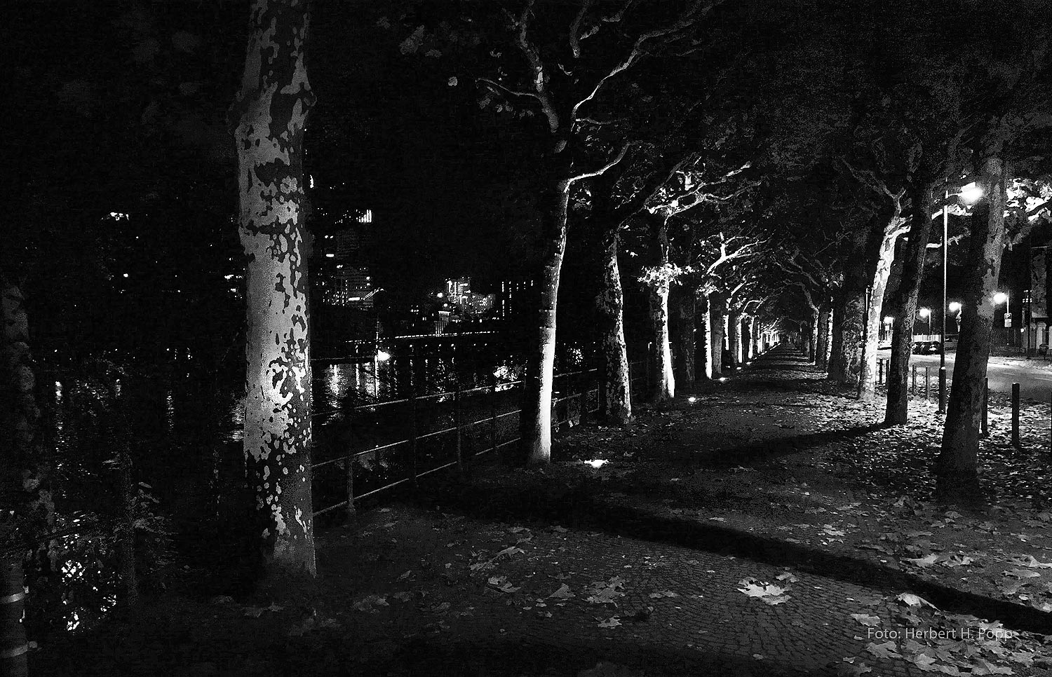 poppdesign-fotografie-nightlife, Frankfurt am Main, Uferpromenade , Quelle: Herbert H. Popp - poppdesign